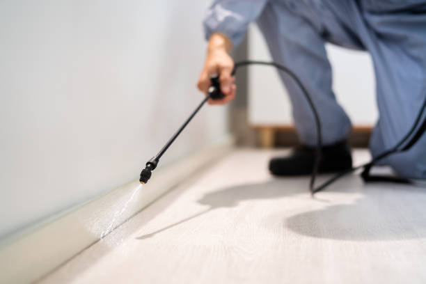 Bed Bug Pre-Treatment Preparation Assessment in Cadott