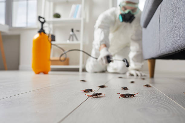 Post-Treatment Bed Bug Interceptor Monitoring in Cadott