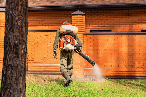 Bed Bug Clearance Verification and Documentation in Cadott